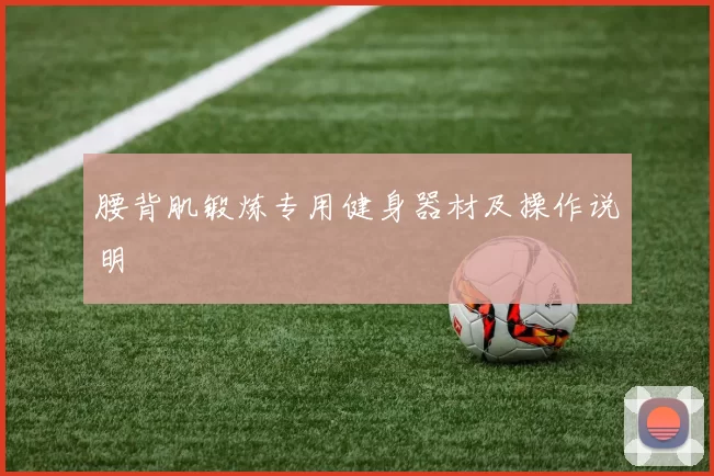 腰背肌锻炼专用健身器材及操作说明