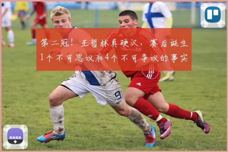 第二冠!王哲林真硬汉,赛后诞生1个不可思议和4个不可争议的事实