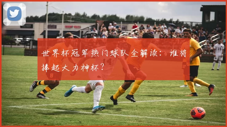 世界杯冠军热门球队全解读：谁将捧起大力神杯？