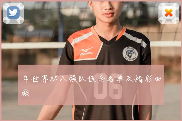 年世界杯八强队伍全名单及精彩回顾