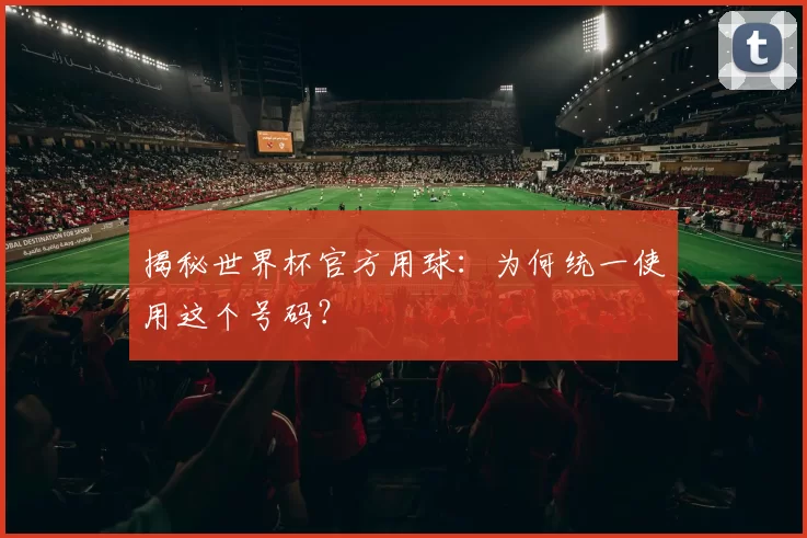 揭秘世界杯官方用球:为何统一使用这个号码?