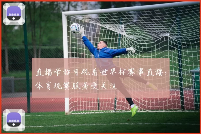 直播帝称可观看世界杯赛事直播，体育观赛服务受关注
