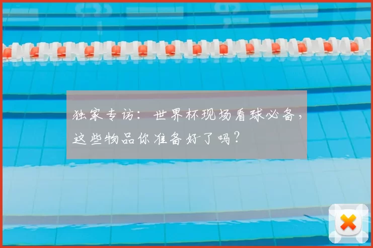 独家专访:世界杯现场看球必备,这些物品你准备好了吗?