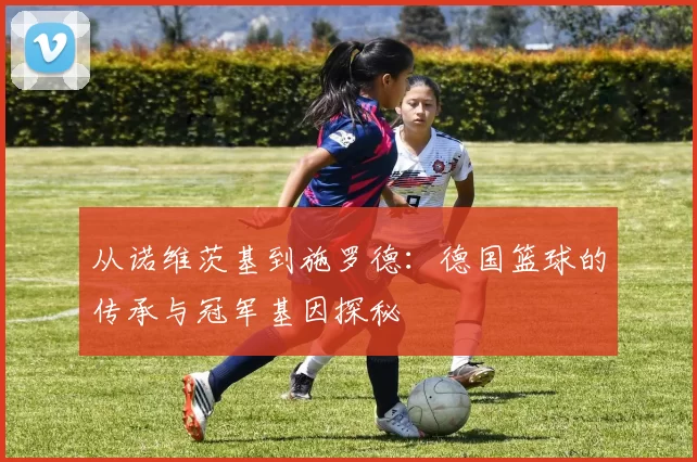 从诺维茨基到施罗德：德国篮球的传承与冠军基因探秘