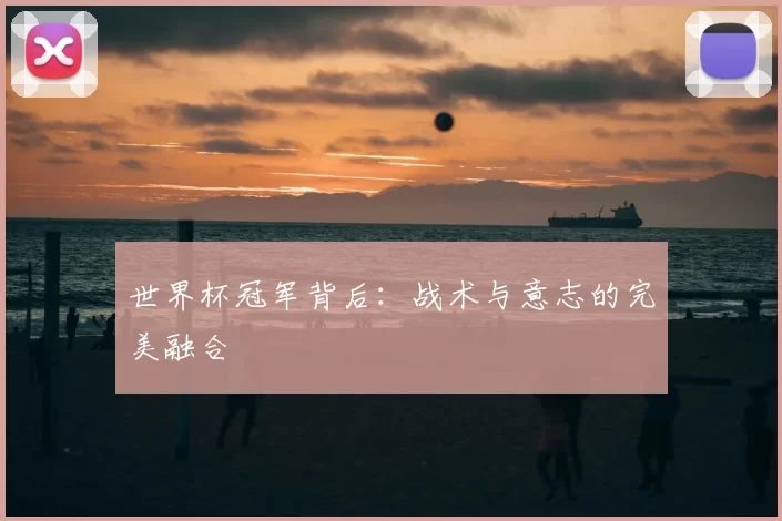 世界杯冠军背后:战术与意志的完美融合