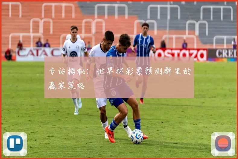 专访揭秘：世界杯彩票预测群里的赢家策略