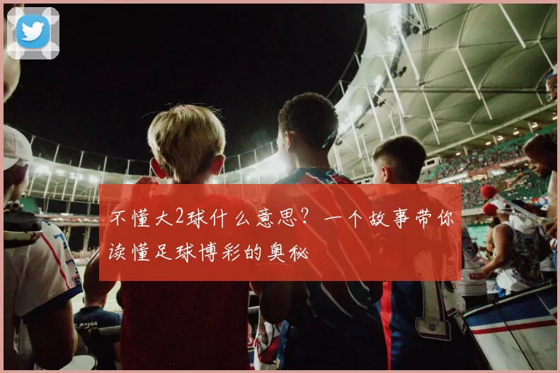 不懂大2球什么意思?一个故事带你读懂足球博彩的奥秘