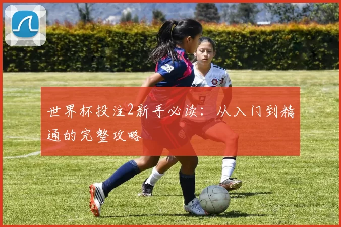 世界杯投注2新手必读:从入门到精通的完整攻略