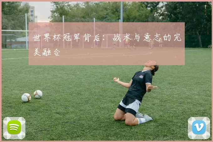 世界杯冠军背后:战术与意志的完美融合