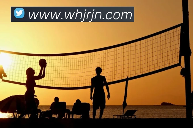 彩神vll平台生态图